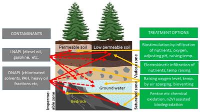 Bioremediation of contaminated soil and groundwater by in situ biostimulation